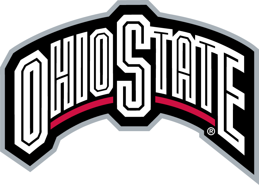 Ohio State Buckeyes 2003-2012 Wordmark Logo t shirts iron on transfers...